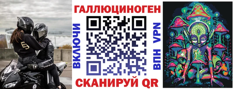 Галлюциногенные грибы Cubensis хочу Высоцк